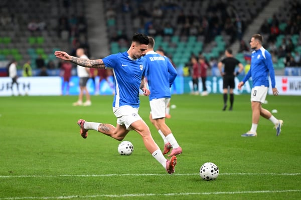 谢什科的缺席对斯洛文尼亚来说是一个巨大的打击。/ Jurij Kodrun/Getty Images