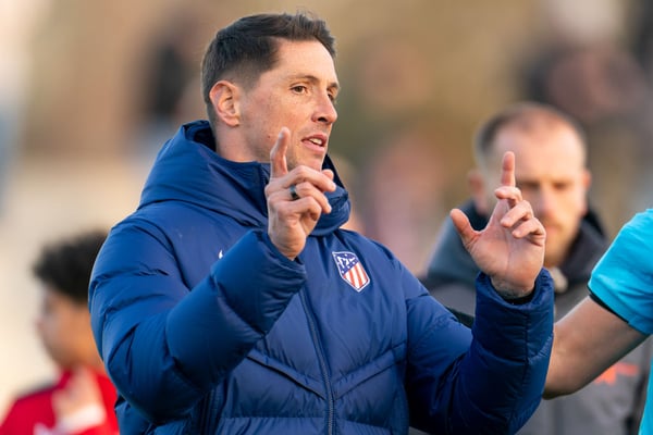 费尔南多·托雷斯已进入管理层。 / Joris Verwijst/BSR Agency/Getty Images