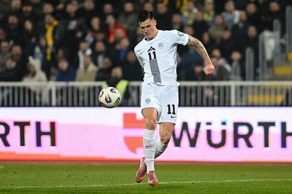 谢什科未能激励斯洛文尼亚队。/ ARMEND NIMANI/AFP/Getty Images