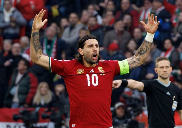 匈牙利队的希望被爱尔兰队惊人的逆转无情地粉碎。/ Laszlo Szirtesi/Getty Images