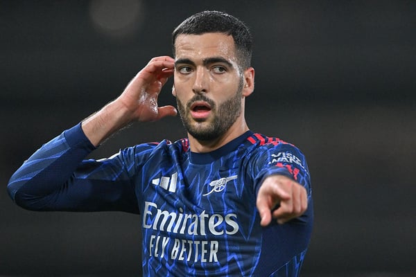 梅里诺球员在担任中锋时往往表现出色。/ Vince Mignott/MB Media/Getty Images