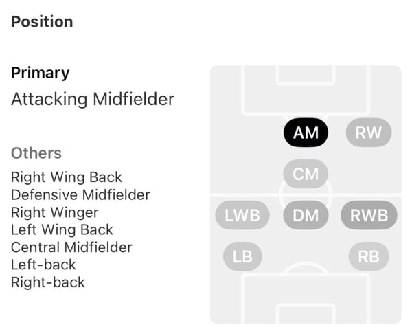 世界杯FIFA体育新闻:麦肯尼的“多样化”持仓图表