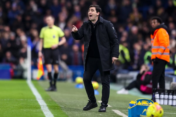 世界杯FIFA体育新闻：安多尼·伊劳拉可能是恩佐·马雷斯卡执教切尔西的最后一位对手。/ Robin Jones/AFC Bournemouth/Getty Images