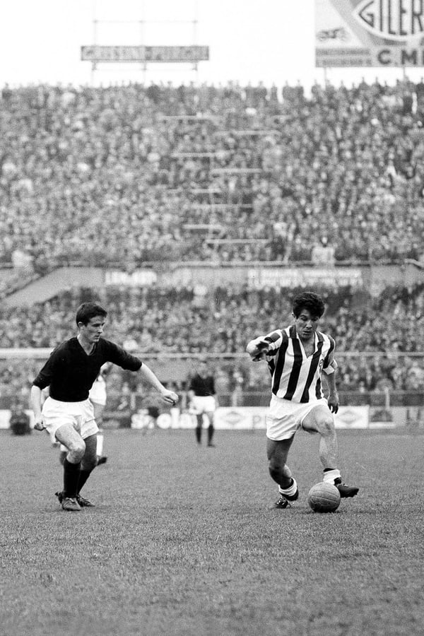 世界杯FIFA体育新闻：奥马尔·西沃里是一位世界级前锋。 / 布兹/IMAGO