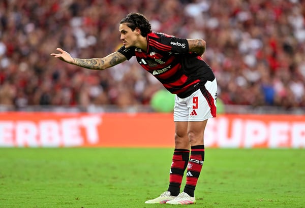 世界杯FIFA体育新闻：弗拉门戈队的佩德罗庆祝攻破科林蒂安队的球门