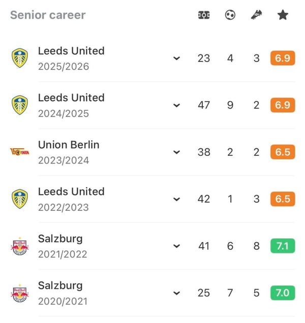 世界杯FIFA体育新闻：阿伦森移居欧洲后的赛季总结