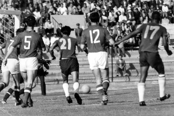 世界杯FIFA体育新闻：1962年的哥伦比亚