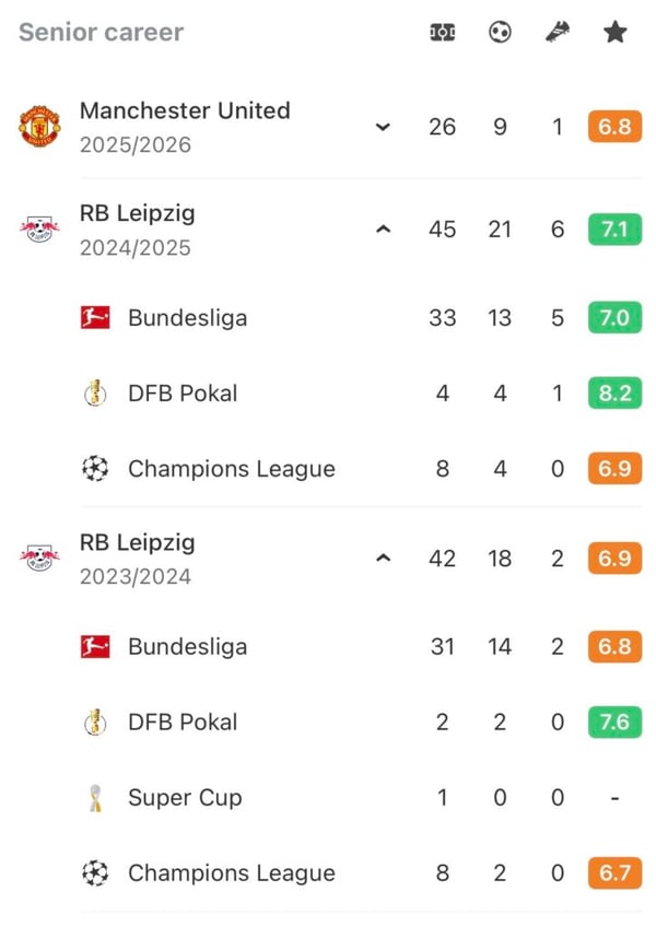 世界杯FIFA体育新闻：Šeško 赛季总结（莱比锡）