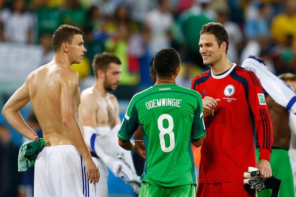 世界杯FIFA体育新闻：阿斯米尔·贝戈维奇 波斯尼亚