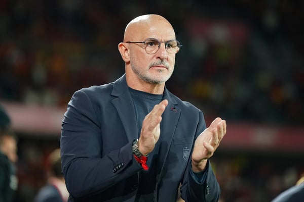 世界杯FIFA体育新闻:路易斯·德拉富恩特,西班牙队主教练