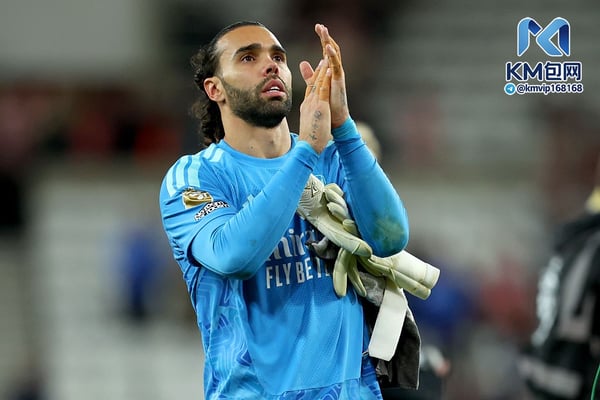 世界杯FIFA体育新闻：大卫·拉亚是英超门将的黄金标准。/ Ed Sykes/Sportsphoto/Allstar/Getty Images