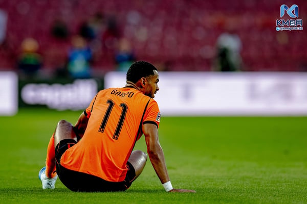 世界杯FIFA体育新闻:科迪·加克波代表荷兰队出战。/ Stefan Koops/EYE4IMAGES/NurPhoto/Getty Images